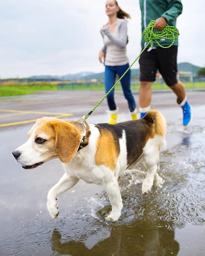 (2 Pack) Long Dog Leash for Dog Training 15FT/30FT/50FT, Dog Rope Leashes with Reflective Thread for Large Medium Small Dogs, Dog Tie-Out Cable Lead for Hunting, Camping&Backyard