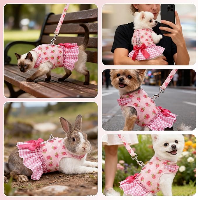 EXPAWLORER Dog Harness Small Medium Sized Dogs, Plaid Dog Dress Bowknot Harness and Leash Set, No Choke No Pull Soft Mesh Vest Cute Princess Puppy Outfits Clothes Costume for Girls Party Cats Pink M