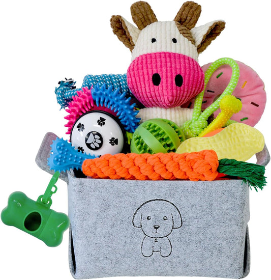 The Ultimate 20-Piece Puppy Survival Kit: Why Variety is Key for Your Teething Fur Baby 🦴✨