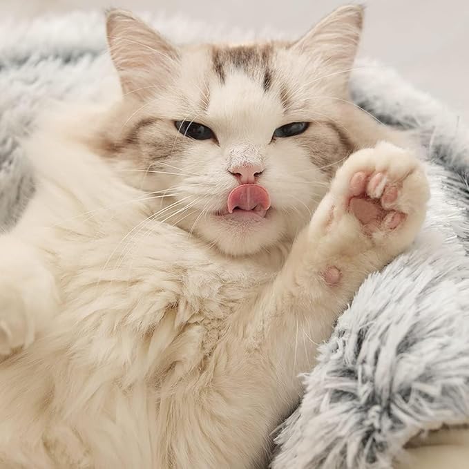 Cat Bed Round Fluffy Hooded Cat Bed Cave, Anti-Anxiety Cave Bed with Hooded Blanket, Cozy Cuddler Luxury Puppy Pet Bed, Anti-Slip Bottom and Machine Washable