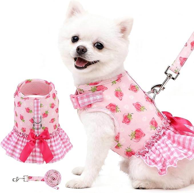 EXPAWLORER Dog Harness Small Medium Sized Dogs, Plaid Dog Dress Bowknot Harness and Leash Set, No Choke No Pull Soft Mesh Vest Cute Princess Puppy Outfits Clothes Costume for Girls Party Cats Pink M