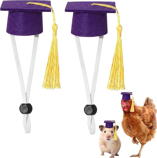 Eccliy 2 Pcs Pet Graduation Caps Mini Bachelor Hats with Tassel for Small Animal Guinea Pigs Hedgehog Bird Turtles Hamster Photo Props Graduation Festival Holiday Party Accessory(Purple Gold)