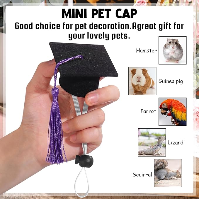 Eccliy 2 Pcs Pet Graduation Caps Mini Bachelor Hats with Tassel for Small Animal Guinea Pigs Hedgehog Bird Turtles Hamster Photo Props Graduation Festival Holiday Party Accessory(Black Purple)