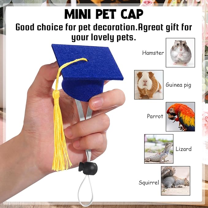 Eccliy 2 Pcs Pet Graduation Caps Mini Bachelor Hats with Tassel for Small Animal Guinea Pigs Hedgehog Bird Turtles Hamster Photo Props Graduation Festival Holiday Party Accessory(Blue Gold)