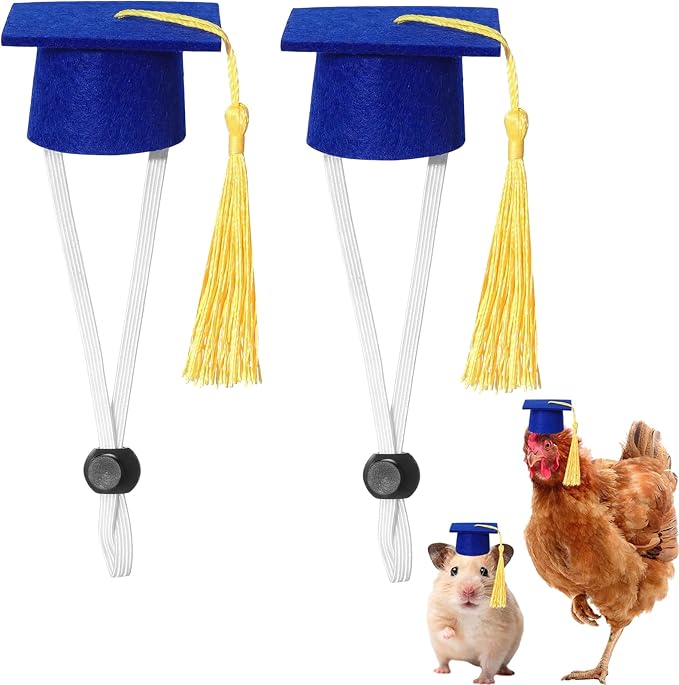 Eccliy 2 Pcs Pet Graduation Caps Mini Bachelor Hats with Tassel for Small Animal Guinea Pigs Hedgehog Bird Turtles Hamster Photo Props Graduation Festival Holiday Party Accessory(Blue Gold)