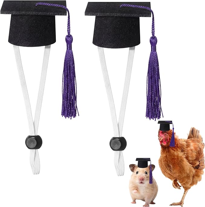 Eccliy 2 Pcs Pet Graduation Caps Mini Bachelor Hats with Tassel for Small Animal Guinea Pigs Hedgehog Bird Turtles Hamster Photo Props Graduation Festival Holiday Party Accessory(Black Purple)