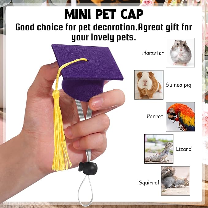 Eccliy 2 Pcs Pet Graduation Caps Mini Bachelor Hats with Tassel for Small Animal Guinea Pigs Hedgehog Bird Turtles Hamster Photo Props Graduation Festival Holiday Party Accessory(Purple Gold)