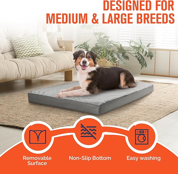 Simple Trending Orthopedic Dog Bed for Large Dogs, Egg Crate Foam & Removable Cover, Washable Pet Bed, 36 x 27 Inch, Gray