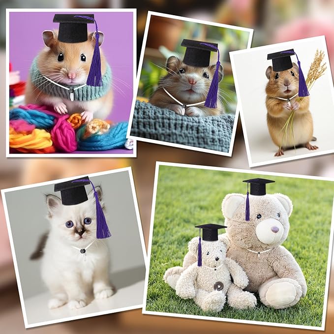 Eccliy 2 Pcs Pet Graduation Caps Mini Bachelor Hats with Tassel for Small Animal Guinea Pigs Hedgehog Bird Turtles Hamster Photo Props Graduation Festival Holiday Party Accessory(Black Purple)