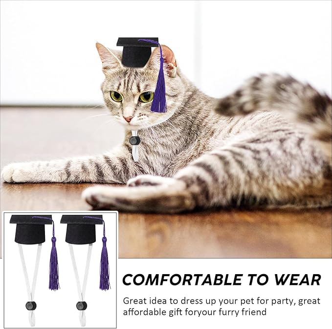 Eccliy 2 Pcs Pet Graduation Caps Mini Bachelor Hats with Tassel for Small Animal Guinea Pigs Hedgehog Bird Turtles Hamster Photo Props Graduation Festival Holiday Party Accessory(Black Purple)