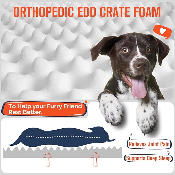 Simple Trending Orthopedic Dog Bed for Large Dogs, Egg Crate Foam & Removable Cover, Washable Pet Bed, 36 x 27 Inch, Gray